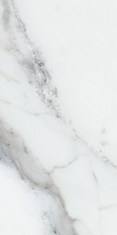 Origines Argent Glossy 12 x 24